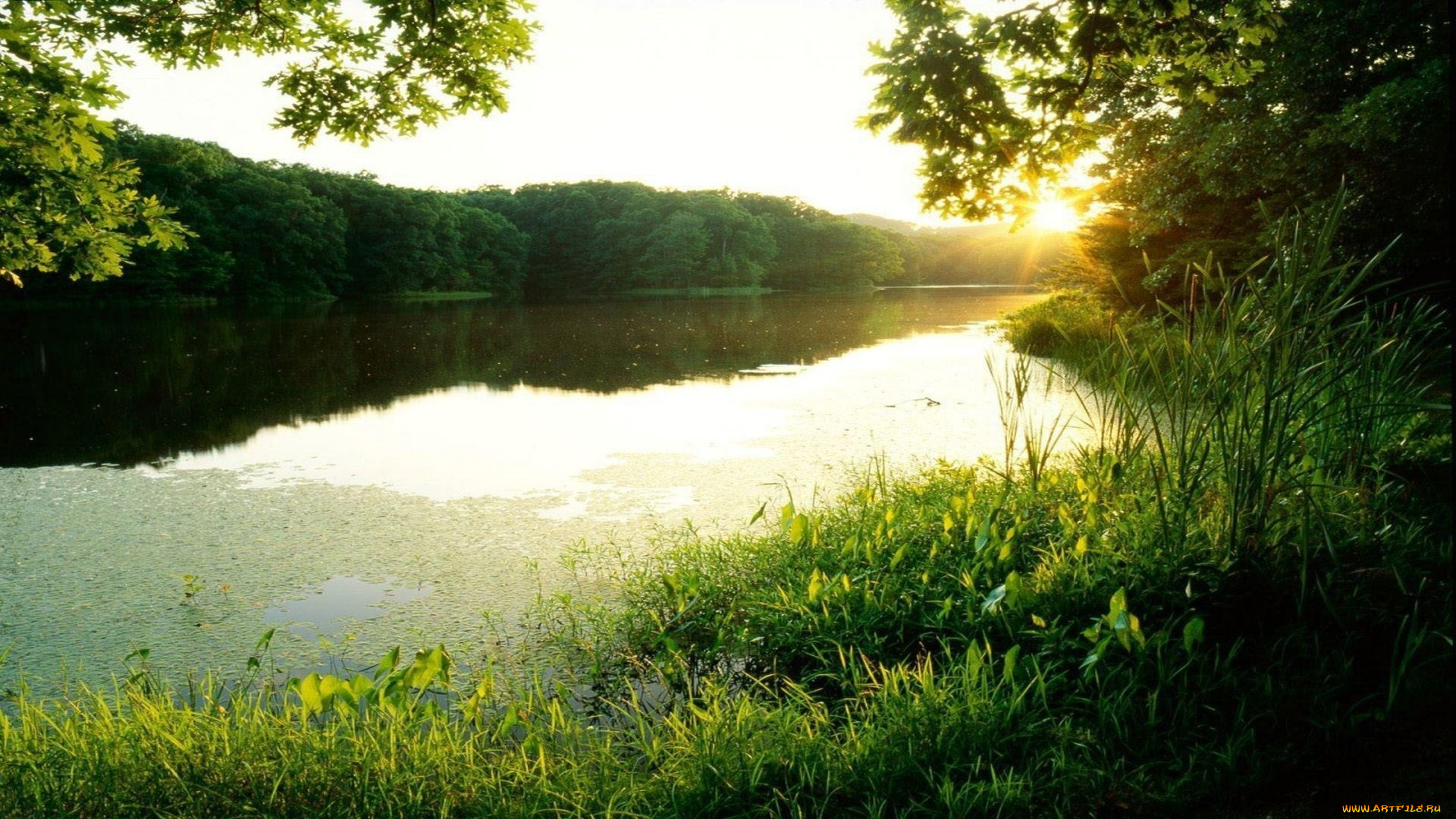 Наше лето река